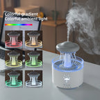 Raindrop Oasis Humidifier & DiffuserTM