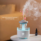 Raindrop Oasis Humidifier & DiffuserTM